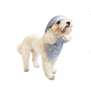 Stylish Blue Dog Bandana and Hat set*